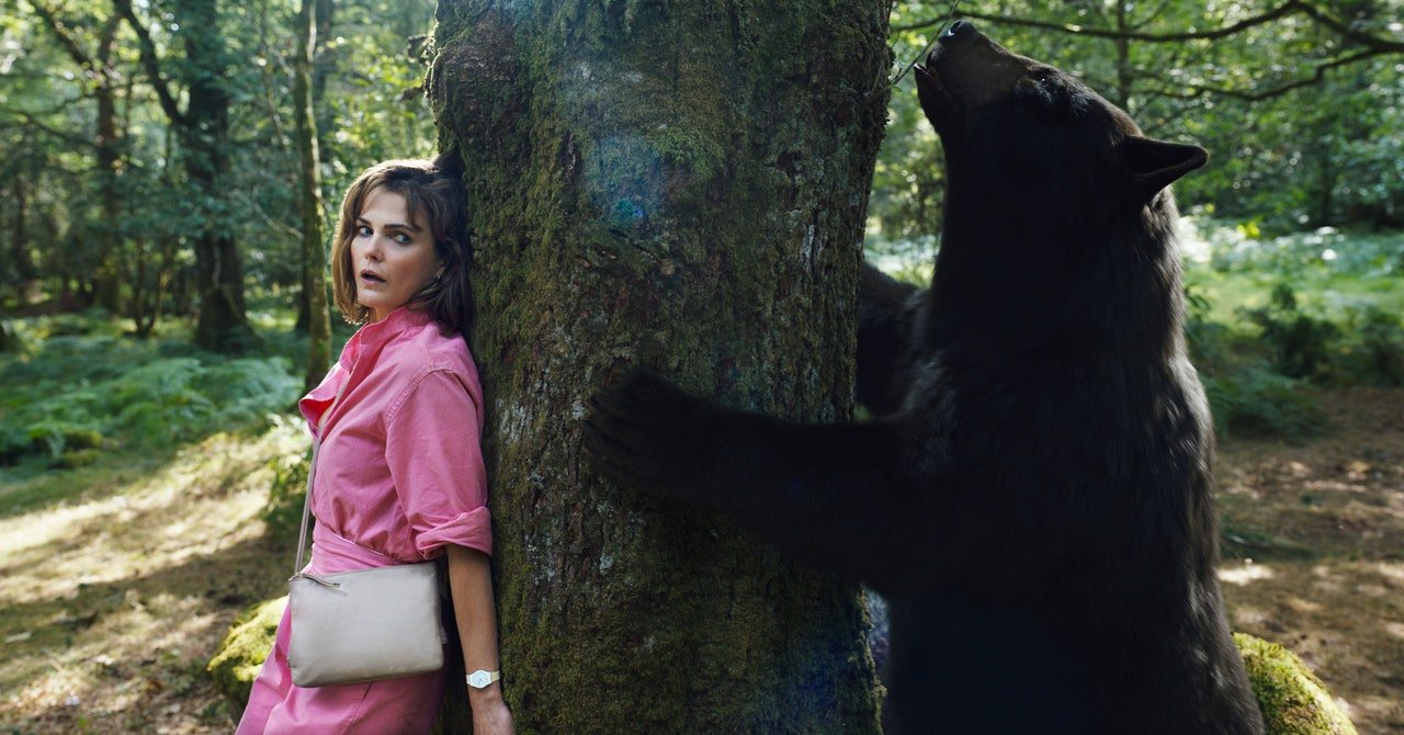« Cocaine Bear » et la nouvelle ère des films sur Internet