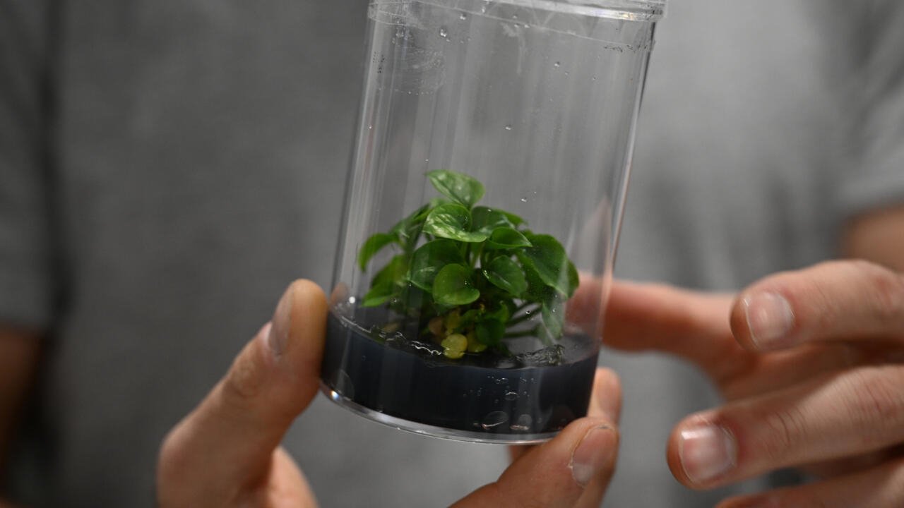 La technologie verte se bat pour la vedette au CES gadget fest
