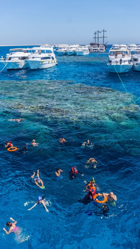 The parable of the last corals on Earth