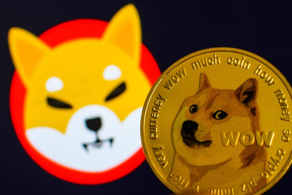Un Memecoin viral basé sur Solana est en hausse de 2 500% malgré le prix brutal du Bitcoin et de l’Ethereum Crypto Winter