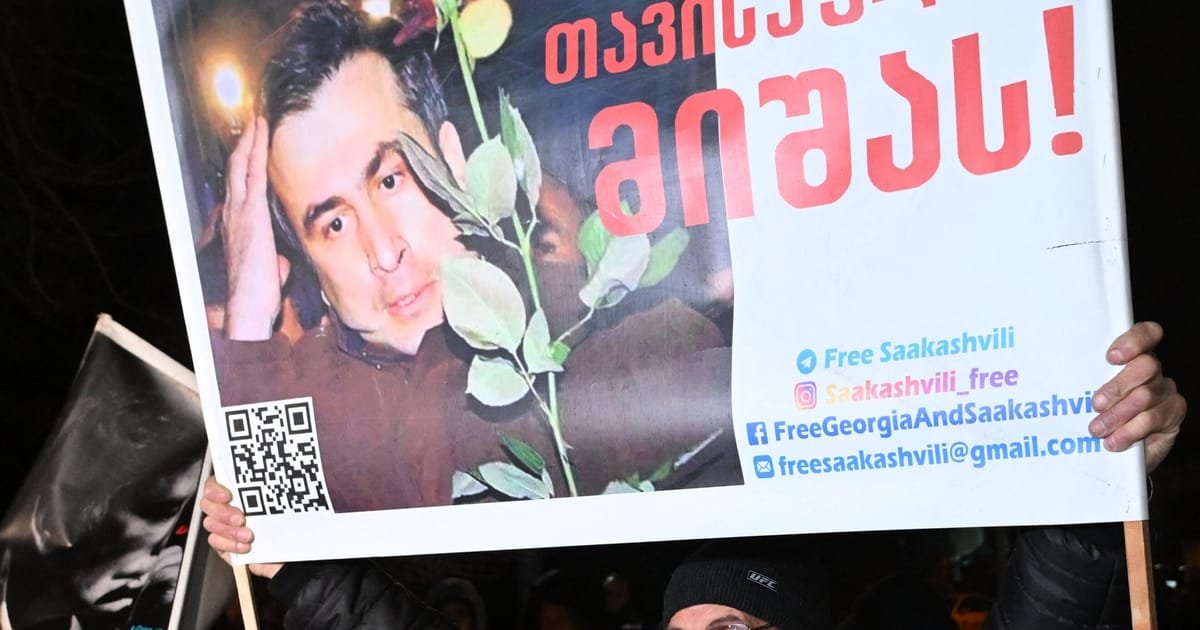 Les mauvais traitements infligés à l’ancien président géorgien Saakashvili menacent les rêves européens du pays, selon les députés