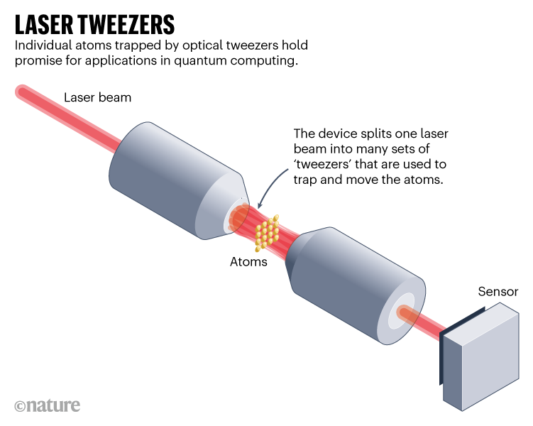 PINCES LASER. Des atomes individuels piégés par des pincettes optiques sont prometteurs pour des applications en informatique quantique.