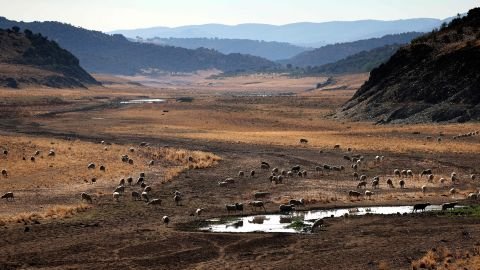 Une prévision désastreuse: les scientifiques ont utilisé l'IA pour découvrir que la planète pourrait franchir le seuil de réchauffement critique plus tôt que prévu | CNN 1 La planète pourrait franchir le seuil des 1,5 degrés Celsius d'ici une décennie.