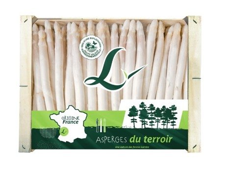1678192312 135 France Lancement de la campagne dasperges bio des Landes