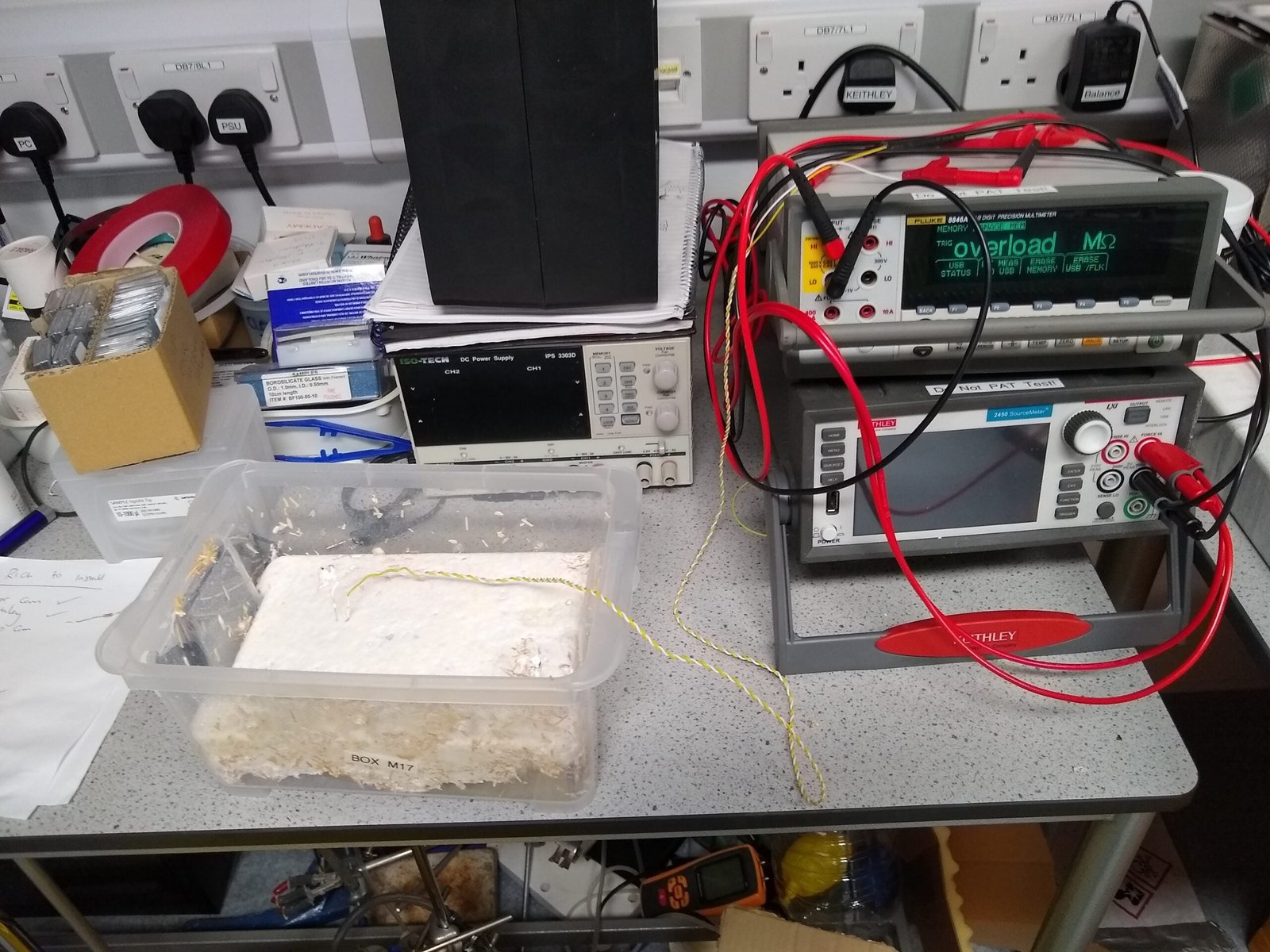 A l'intérieur du labo qui fait pousser des ordinateurs champignons