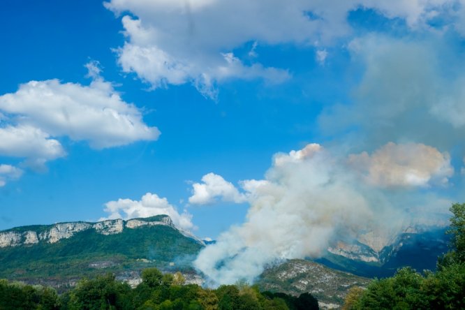 Feux de forêts en France : les caméras à utiliser davantage pour prévenir les incendies