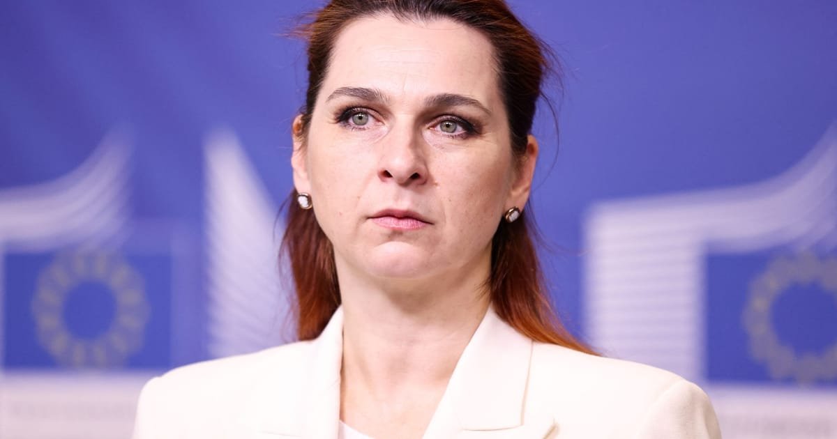 La Russie et les « oligarques fugitifs » font pression sur la Moldavie, selon le ministre