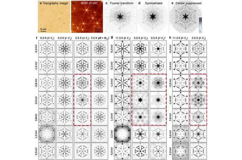 Résultats expérimentaux QPI. ae) Données QPI et procédures de traitement. une image STM (V s = 0,1 V, I t = 0,1 nA) d'une surface (33)-Sn (p = 0,1) avec plusieurs défauts de surface apparaissant sous forme de taches sombres. b) Image dI/dV correspondante à T = 0,5 K. Les caractéristiques brillantes en forme d'étoile sont centrées sur les emplacements des défauts dans le panneau a. c) Le spectre de puissance du panneau b, symétrisé et tourné dans le panneau d. La région centrale est ensuite supprimée pour améliorer les caractéristiques haute fréquence, comme indiqué dans le panneau e. fh montre 4, 3 et 2 ensembles de résultats QPI obtenus à partir de surfaces (33)-Sn pour p = 0, 1, 0, 08 et 0, 06, respectivement. Chaque colonne montre des images QPI obtenues dans une région spatiale fixe mais avec des biais différents, comme indiqué à gauche. Les températures de mesure sont étiquetées au-dessus de chaque colonne et les données sont affichées pour les températures supérieures et inférieures à T c . Les feuilles de fleurs centrales n'apparaissent que lorsque l'échantillon est dans un état supraconducteur et lorsque le biais de mesure se situe dans l'espace supraconducteur (dans les limites de 1,5 mV, 2,2 mV et 3,6 mV, en f, g et h, respectivement). Ces images QPI sont entourées de rectangles rouges en pointillés. Le panneau f montre les résultats QPI obtenus à T = 5 K (légèrement supérieur à T c = 4,7 K pour cet échantillon), ou à 0,5 K dans un champ B de 8 T (H 2c = 3 T). Ces données ont une caractéristique de feuille de fleur considérablement réduite, qui pourrait provenir de fluctuations supraconductrices. Dans le panneau g, les données 0,5 K ( c ) sont des résultats QPI obtenus à partir d'un échantillon avec des adatomes interstitiels de Sn, déposés à 120 K. La présence de Sn interstitiel améliore considérablement les traits fleur-feuille au centre de la zone de Brillouin. Crédit : Physique de la nature (2023). DOI : 10.1038/s41567-022-01889-1 La preuve d'un supraconducteur chiral pourrait rapprocher l'informatique quantique du courant dominant