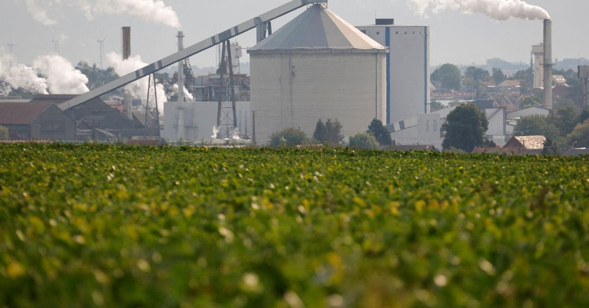 Le syndicat et le gouvernement dénoncent Tereos pour les suppressions d’emplois dans le sucre en France