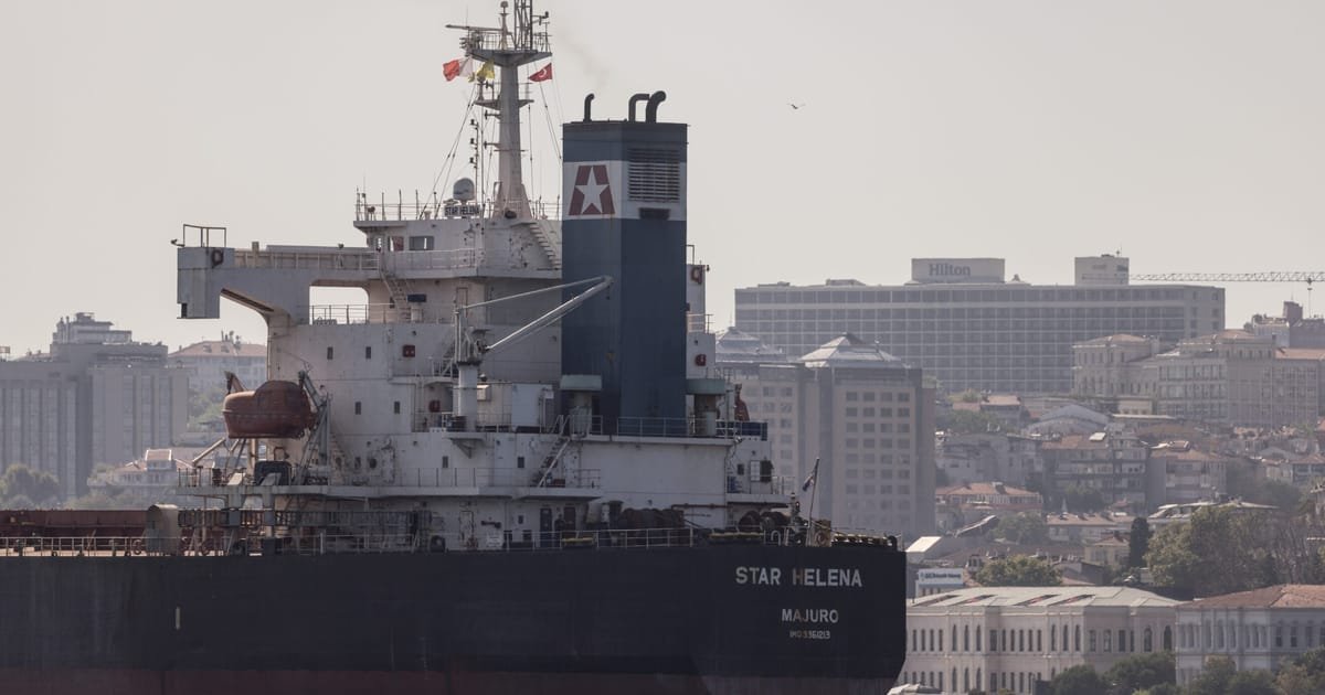 Le G7 demande la prolongation de l’accord sur les céréales de la mer Noire