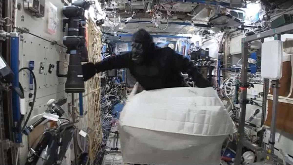 Meilleures farces spatiales : des singes de l’espace aux sandwichs de contrebande