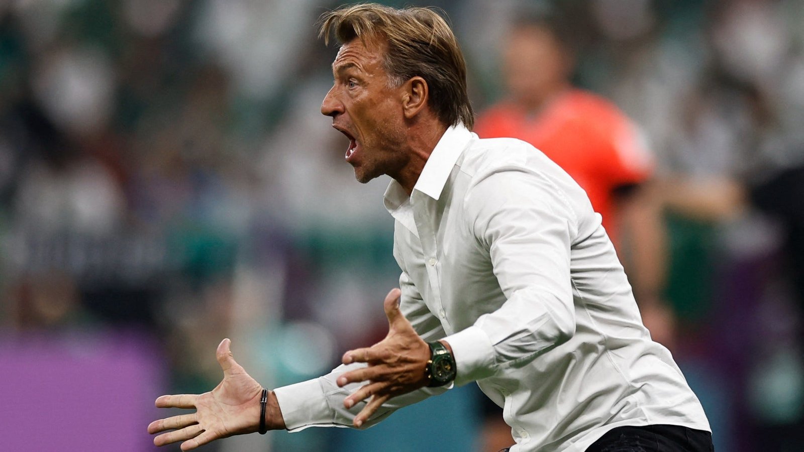 Hervé Renard