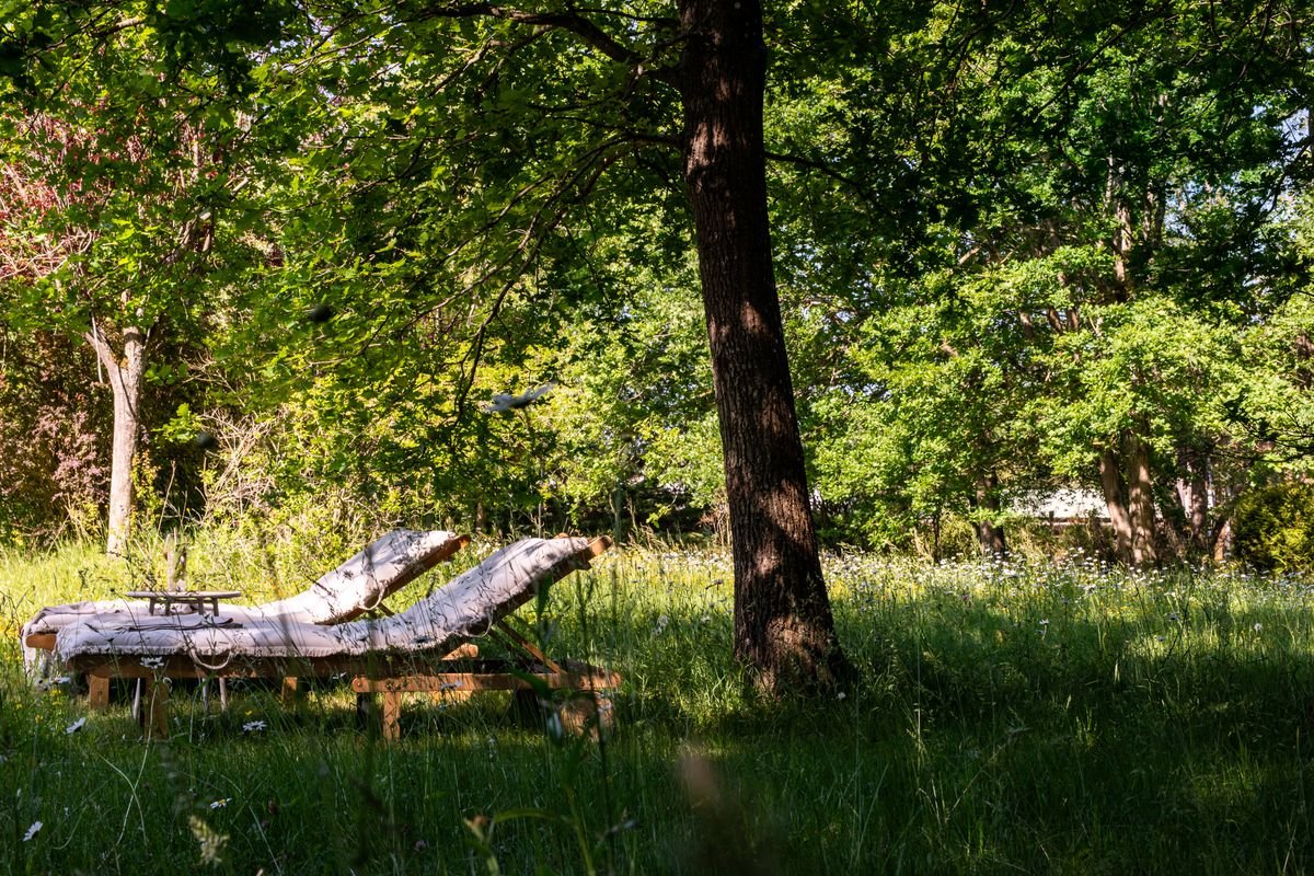Lounge chairs in the shade of a tree in a sunny meadow. 