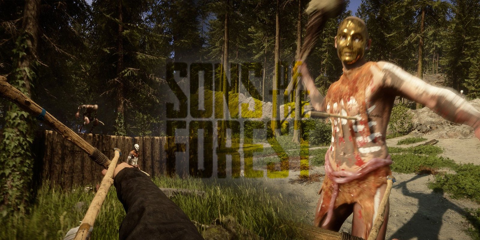 Les règles non écrites des fils de la forêt expliquées