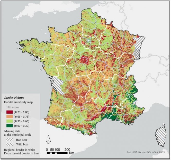 Maladie de Lyme en France : Conseils officiels pour éviter une piqûre de tique 1 Maladie de Lyme en France Conseils officiels pour eviter