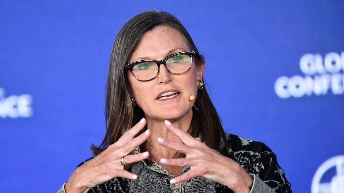 Cathie Wood dit que les stocks de logiciels surferont sur la vague AI Next Ces trois pourraient rivaliser avec Nvidia