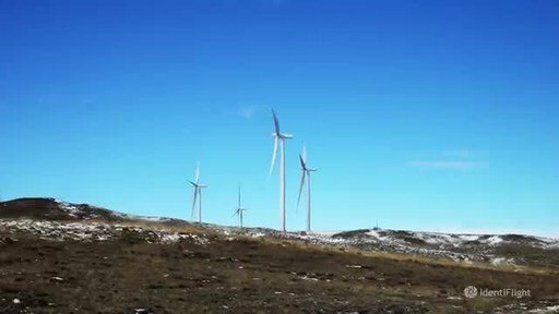 Une collection de clips vidéo du système de détection d'oiseaux IdentiFlight pour les parcs éoliens. Pour une utilisation dans n'importe quel média avec attribution à IdentiFlight. Veuillez visiter IdentiFlight.com pour plus d'informations. Une collection de clips vidéo du système de détection d'oiseaux IdentiFlight pour les parcs éoliens. Pour une utilisation dans n'importe quel média avec attribution à IdentiFlight. Veuillez visiter IdentiFlight.com pour plus d'informations.