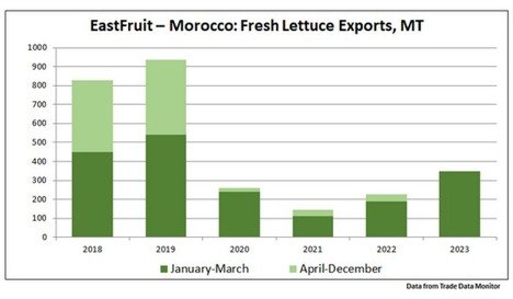 Les exportations marocaines de laitue vers la France atteignent un niveau record au premier trimestre 2023