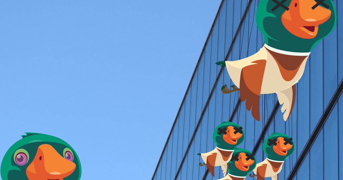 Totalement esquivé !  Les Néerlandais célèbrent le jour du canard mort