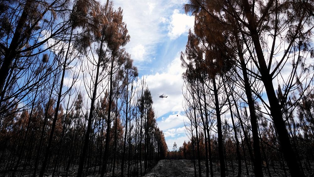 VIDEO : Regardez : Les combats des pompiers s’embrasent dans la région des Vosges en France
