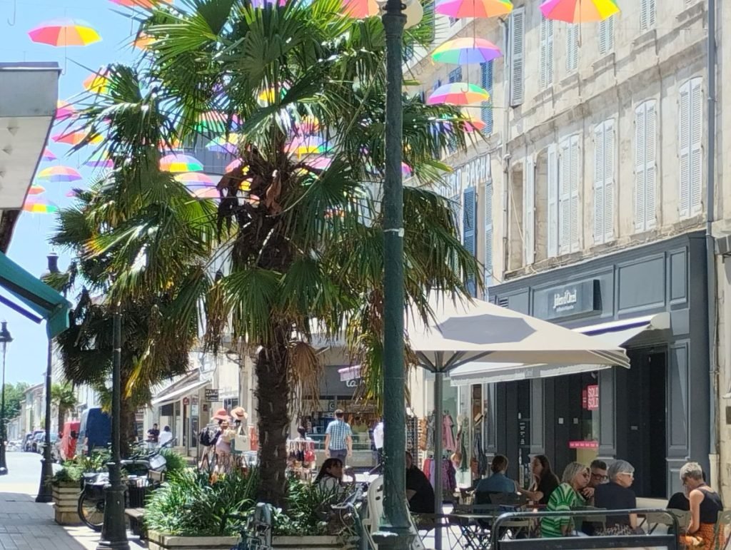 Café de rue à Rochefort. La rue est décorée de parapluies colorés suspendus au-dessus du niveau des arbres de l'autre côté de la rue.