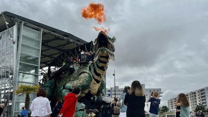 Le dragon de Calais.