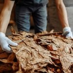 L'industrie du tabac met le pied dans une Ukraine déchirée par la guerre