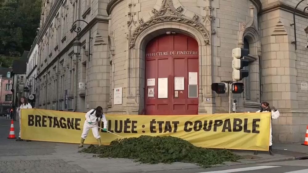 VIDEO : REGARDER : Les algues vertes protestent contre l’agriculture en France