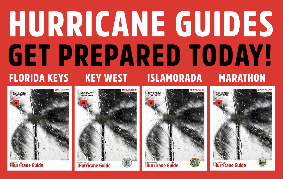 WILD THINGS BIRD REPORT DE LA SEMAINE 2 DU TOUR