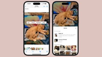sujet d'arrière-plan de recherche visuelle ios 17