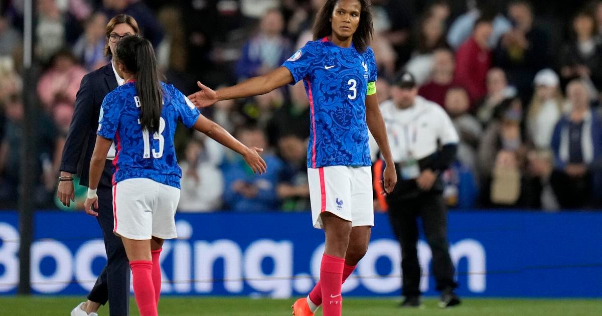 Football WWCup France Renard