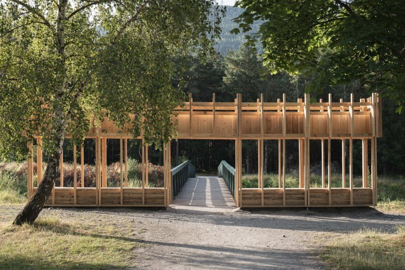 l’installation de martin guafryau émerge comme « forêt structurelle » de portiques de pin dans un parc français