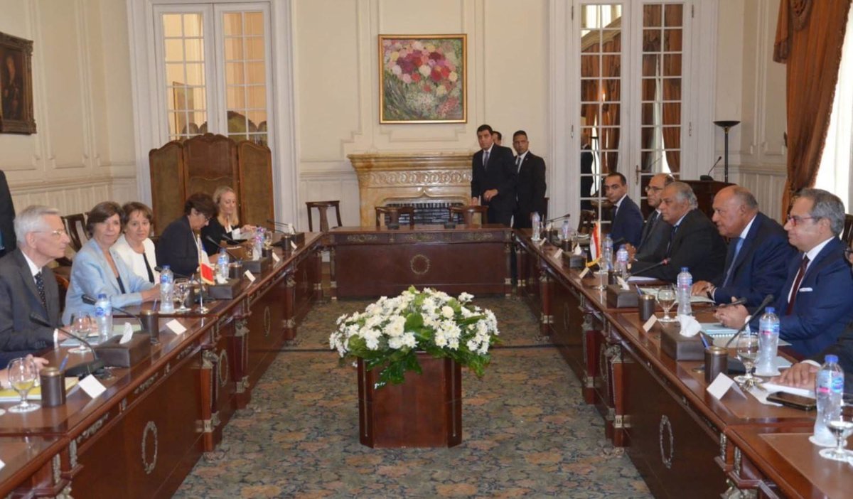 L’Egypte et la France conviennent d’efforts conjoints pour faire face aux crises alimentaire et énergétique