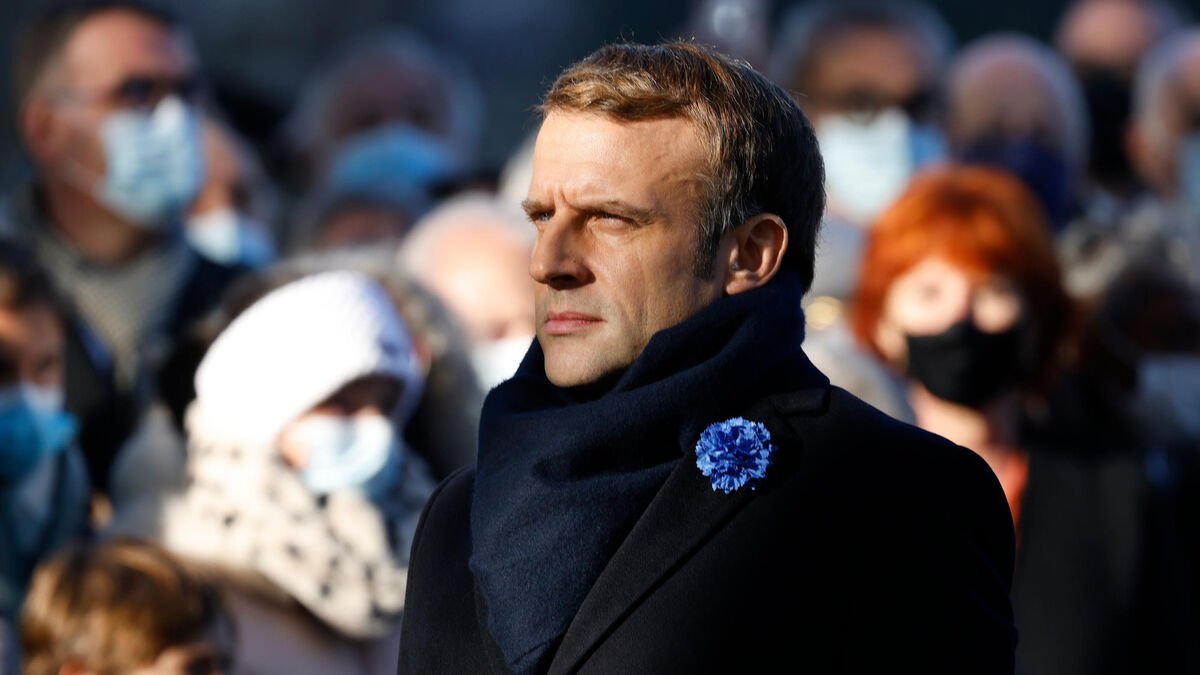 11 Novembre : cest quoi le Bleuet de France qui fleurit sur les vestes des officiels?