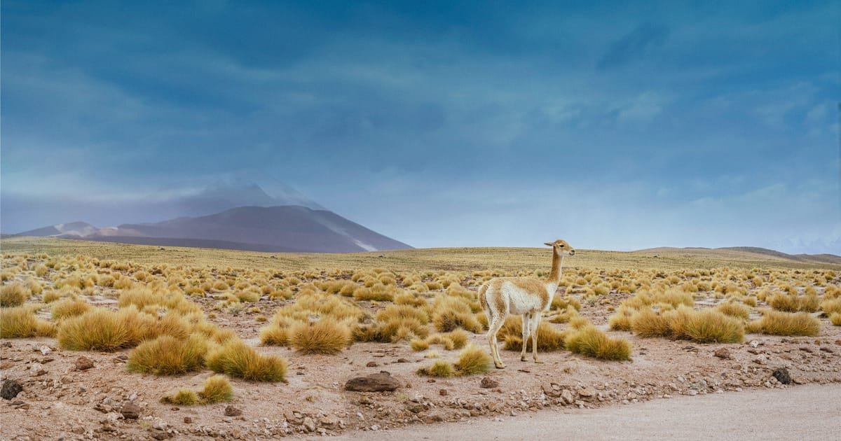 Questions-réponses : Comment créer une chaîne d’approvisionnement en lithium durable pour un monde neutre en carbone ?