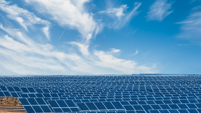 SolarPower Europe présente les meilleures pratiques pour Agrisolar en France