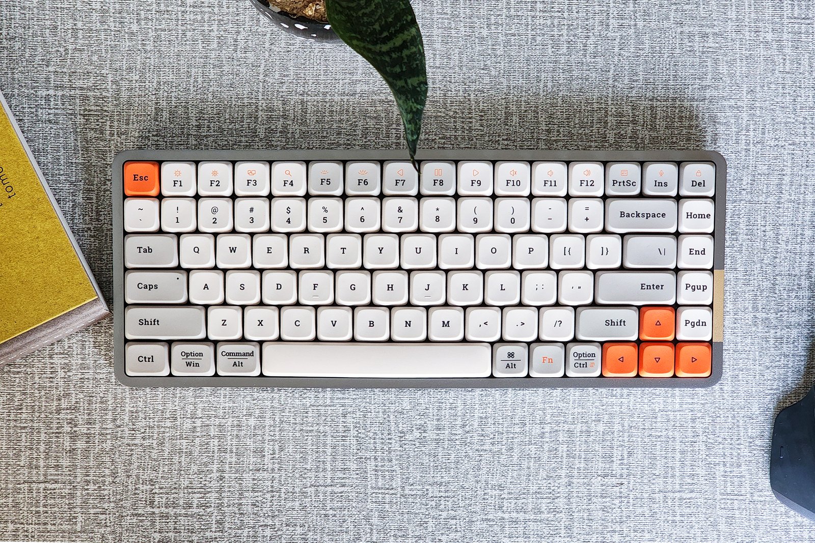 Lofree Flow review: This low-profile keyboard changed me | Digital Trends