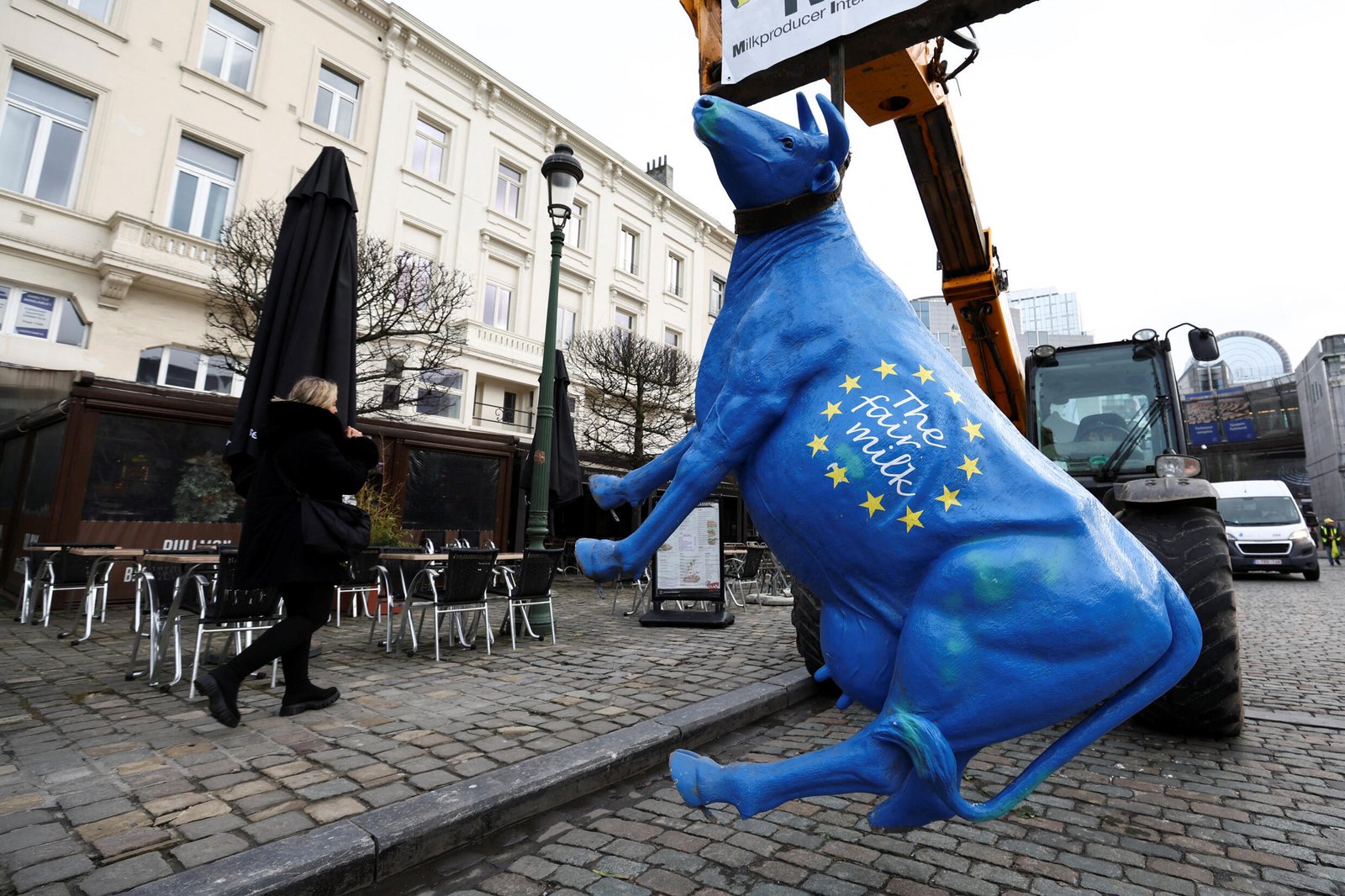 Une vache est suspendue à un véhicule alors que des agriculteurs français manifestent près du Parlement européen à Bruxelles, en Belgique, le 24 janvier 2024.