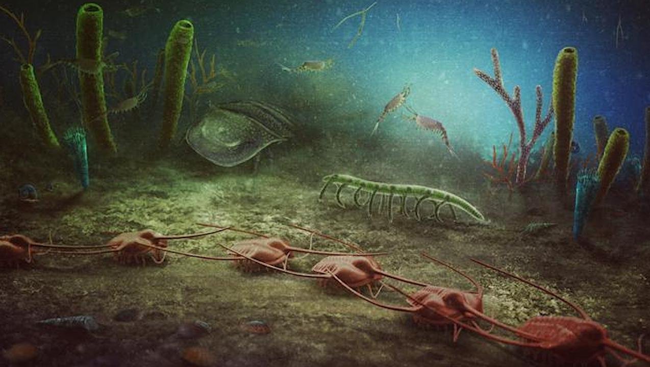 Un site fossile vieux de 470 millions d’années de l’Ordovicien inférieur découvert en France – Astrobiologie