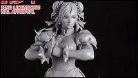 Figurines du jeu de combat Wonder Festival image #4