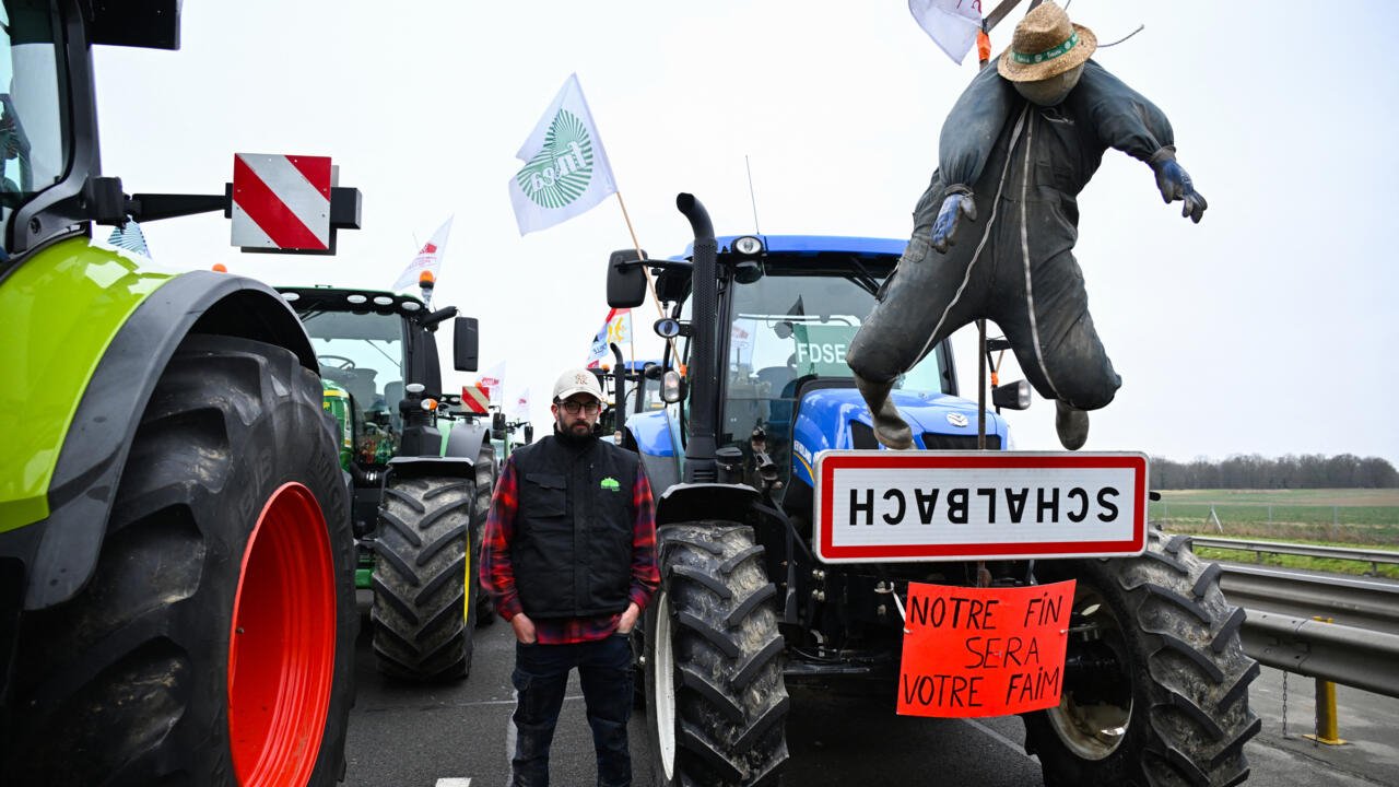 Concurrence déloyale : les agriculteurs français s’insurgent contre les accords de libre-échange avec l’UE