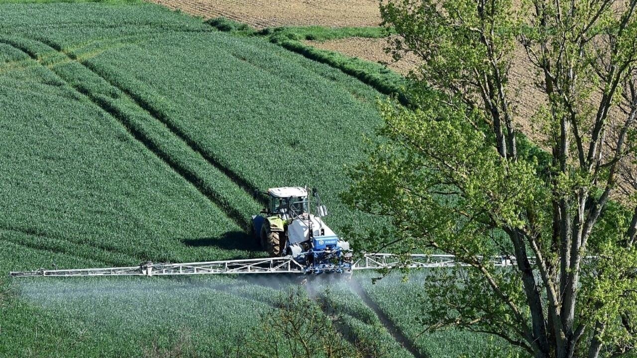 Des ONG dénoncent la « pause » de la France sur l’interdiction des pesticides pour apaiser les agriculteurs