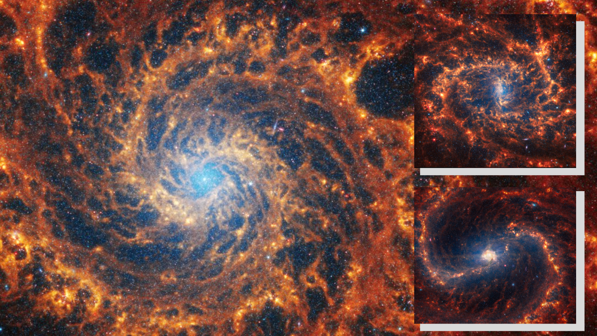 Le télescope spatial James Webb observe 19 structures galactiques complexes avec des détails époustouflants (images)