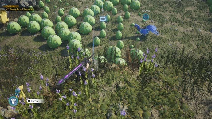 Cloud visant un appât Chocobo depuis le Nibelheim Chocobo dans Final Fantasy 7 Rebirth.