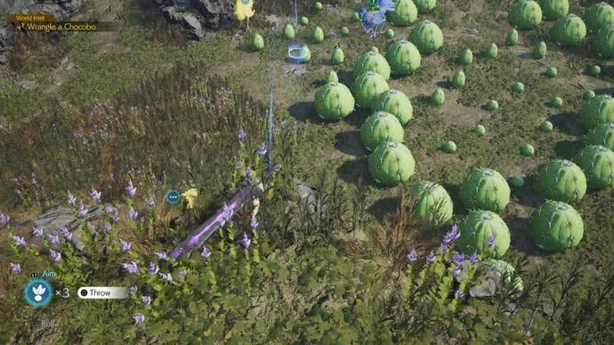 Cloud visant un appât Chocobo depuis le Nibelheim Chocobo dans Final Fantasy 7 Rebirth.