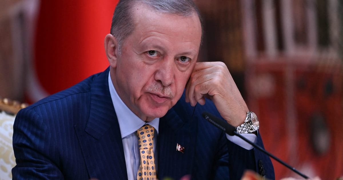 Erdoan affirme que les prochaines élections locales turques seront ses dernières