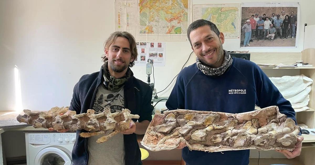 Un homme promenant son chien découvre un squelette de dinosaure presque intact en France