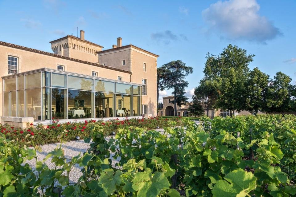 Admirez les vignes environnantes à travers les parois vitrées du restaurant du Château Lafaurie-Peyraguey (Simon Reto Guntil)