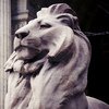 Déplacez-vous sur les livres : les bibliothèques permettent à leurs clients de consulter Internet