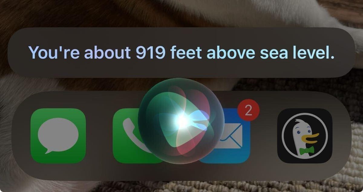 Siri responding that a person's altitude is 919 feet above sea level